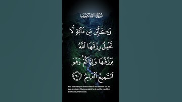 سورة العنكبوت وكأين من دابة لاتحمل رزقها الله يرزقها وإياكم وهو السميع العليم الاية ٦٠