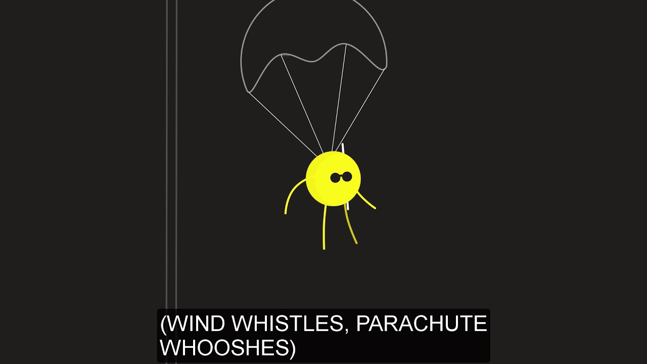 Blind Citizens NZ Accessibility Campaign - Main Animation with captions and audio description