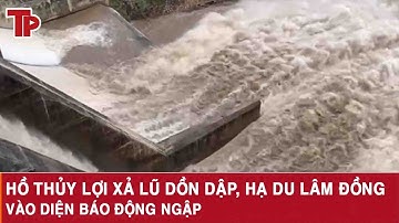 Hồ thủy lợi xả lũ dồn dập, hạ du Lâm Đồng vào diện báo động ngập