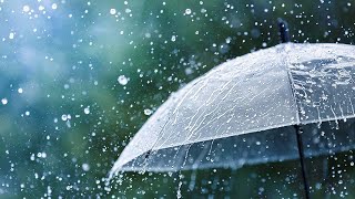 Tracking more showers and thunderstorms