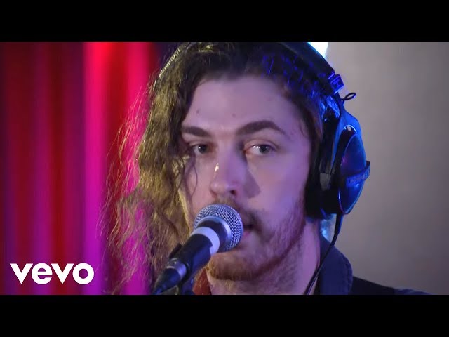 Hozier - Do I Wanna Know?