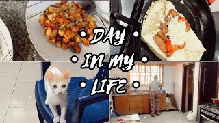 VLOG: Day in my Life + Cook with me