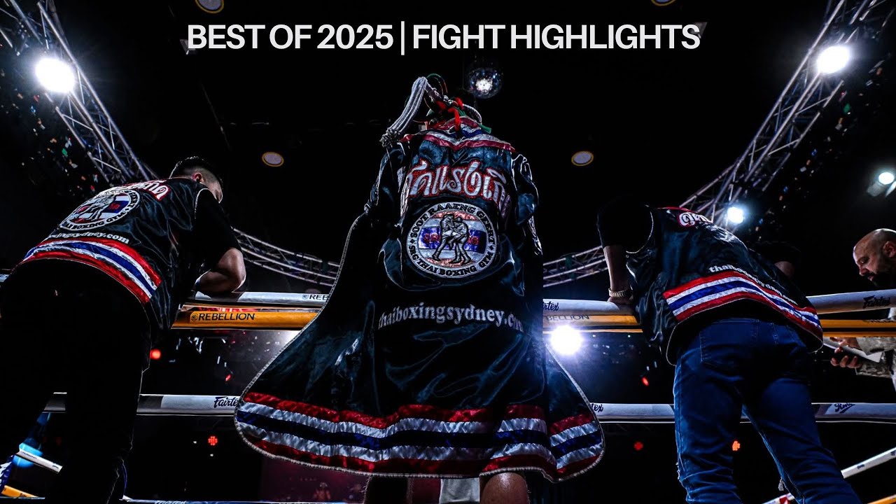 Best of 2025 | Fight highlights