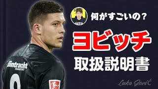 【取扱説明書】ルカ・ヨビッチについて知っておきたい3つのこと