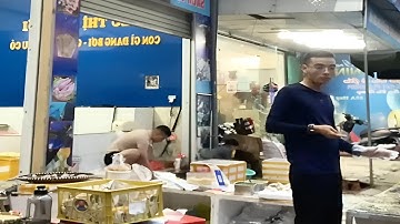 #vlog 6 || Hàu BBQ phô mai , tôm càng xanh nướng mọi thơm ngon