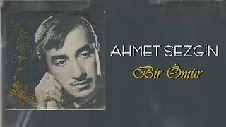 Ahmet Sezgin- Elveda Artık Elveda Resimi