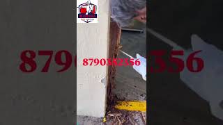 TERMITE DAMAGED #TermiteControl #PestControlHyderabad