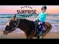 My first horse ride on the beach   surprising aliyah