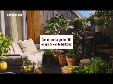 Video: Balcony Vegetable Garden - Att odla en grönsaksträdgård på en balkong