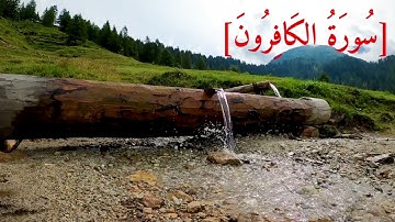 سُورَةُ الكَافِرُونَ بصوت الشيخ عبد الرحمن بن موسى رواية ورش عن نافع تجويد رائع