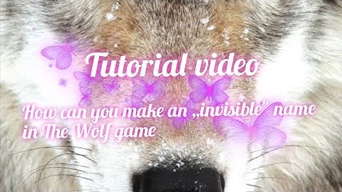 The Wolf Game Tutorial Video: How to make an ,,invisible" name?