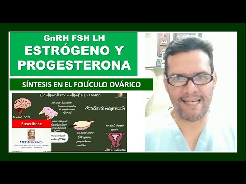 Vídeo: Diferencia Entre Progesterona Y Estrógeno