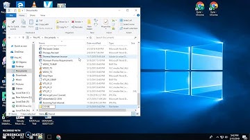CIS 100 Video Demonstration