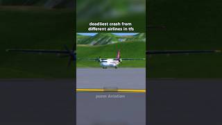 deadliest crash from different airlines in tfs [idea by: @cheezitdreamliner] #plane #aviation