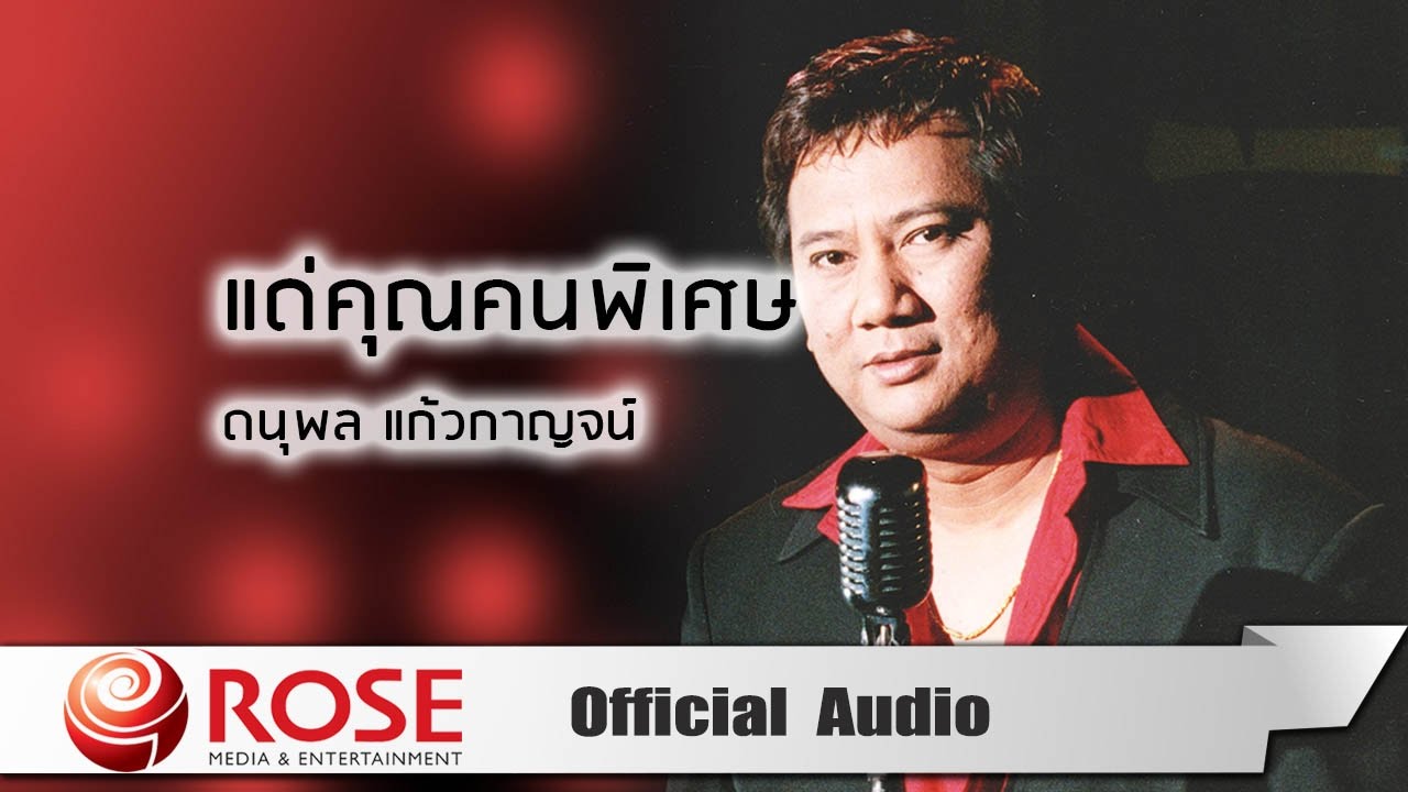 ปกเพลง แด่คุณคนพิเศษ (Audio) — CHAE DANUPOL KAEWKANJAN