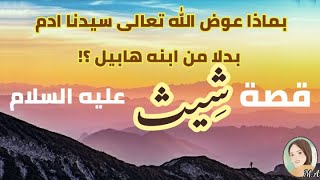 قصص الانبياء | قصة شيث عليه السلام | قصة النبي شيث كاملة (بالعامية المصرية) | قصص | قصة 5