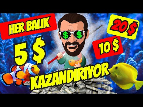 HER BALIK 5 $ | TELEFONDAN OYUN OYNAYARAK PARA KAZANMAK | PARA KAZAN | PARA KAZANMA