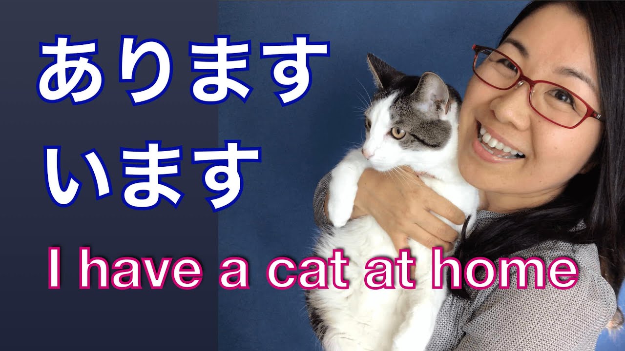 what does baga mean in japanese