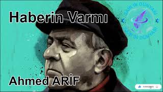 Ahmed Arif'in Haberin Varmı Şiiri Resimi