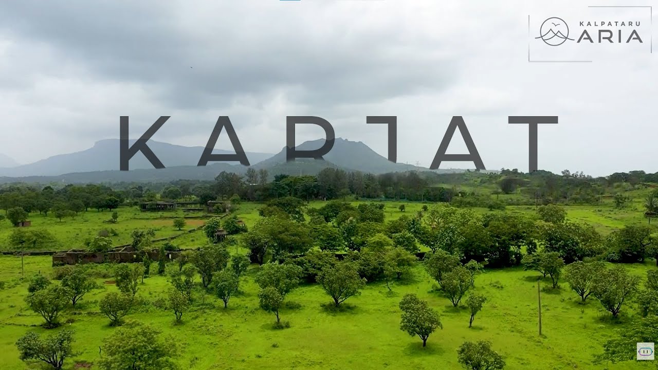 Aria, Kalpataru