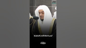 تلاوة بديعة للشيخ ‎الوليد الشمسان من سورة لقمان تلاوة من صلاة التراويح بمسجد الحرام لعام 1445ه‍