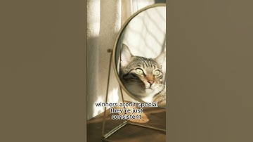 Your Only Limit Is Your Mind | Motivational Short 🔥 #BeyondLimits