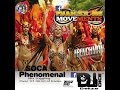 DJ DICE SOCA IS PHENOMENAL MIX AUG 2015
