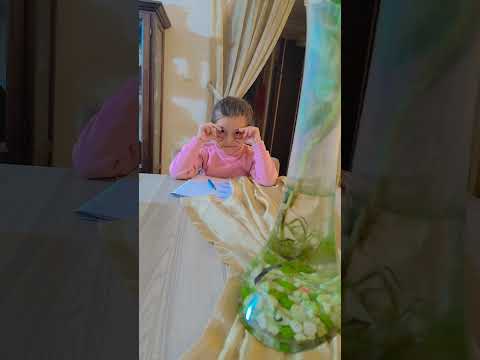 تحدي أنظر إلي نايااا فازت      تالاونايا  