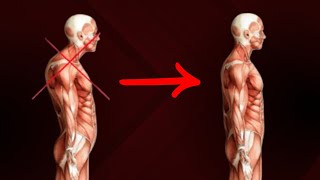 Fix Your Slouching Posture and Hunchback