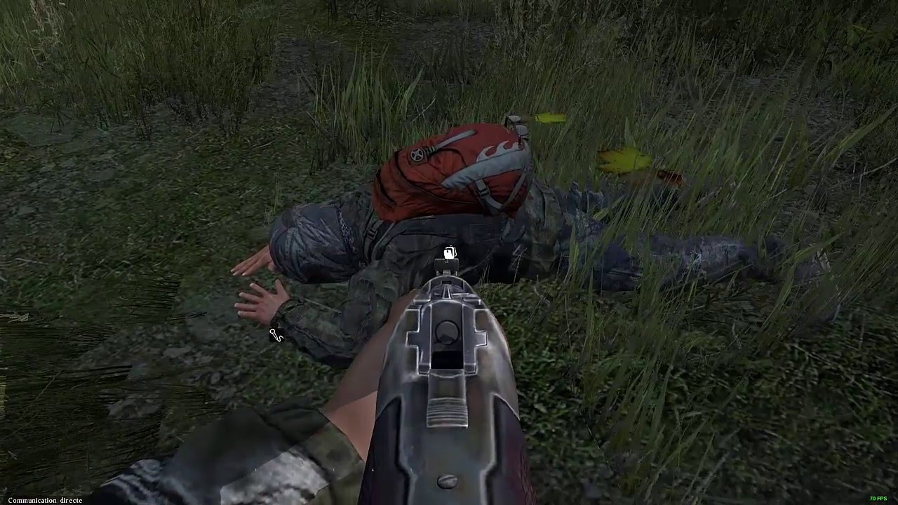 Killed dayz