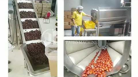 Dates Drying Cleaning Machine Production Line