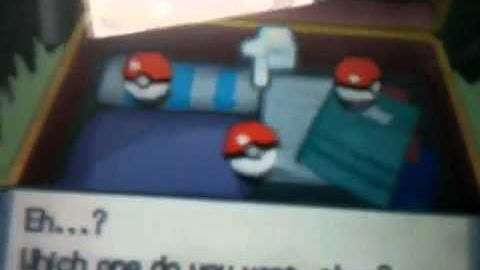 Turtwig  Chimchar  Piplup talk