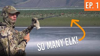 We Found The MegaHerd! | Montana Archery Elk (EP. 1)