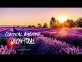 1 HOUR AMBIENT CLASSICAL ORCHESTRAL MUSIC FOR STUDY SLEEP RELAX by ALEXANDER KING CHILLOUT