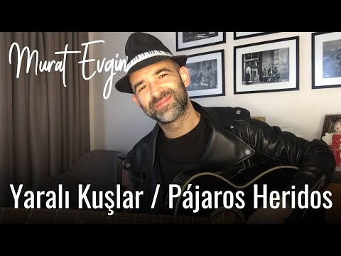 Murat Evgin - Yaralı Kuşlar / Pájaros Heridos (Acoustic)