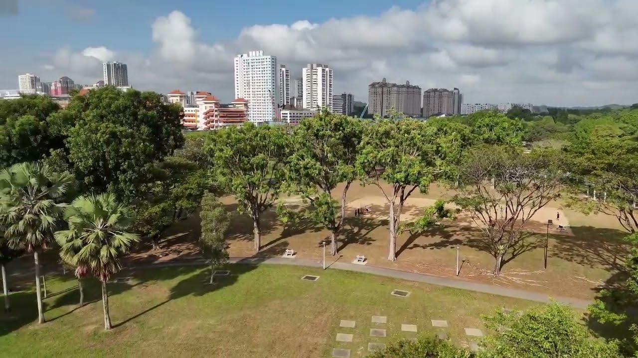 DJI Flip Quick Shots - The game changer?