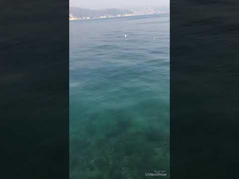 Bir aşk iki hayat nil ipek son mektup