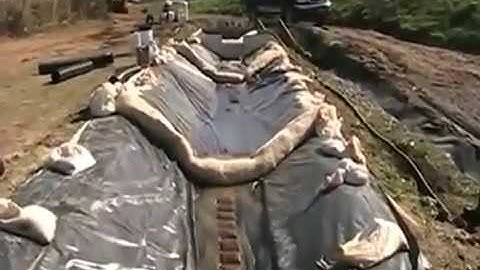 HaloKlear DPS Passive Model