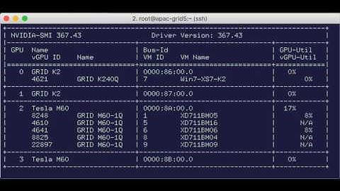 nvidia-smi vGPU Query loop