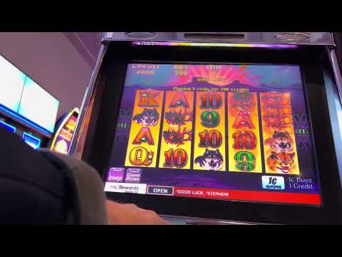 Wild Wild Returns | FG | DoubleU Casino