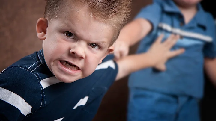 What Is Aggressive Behavior? | Child Psychology - DayDayNews