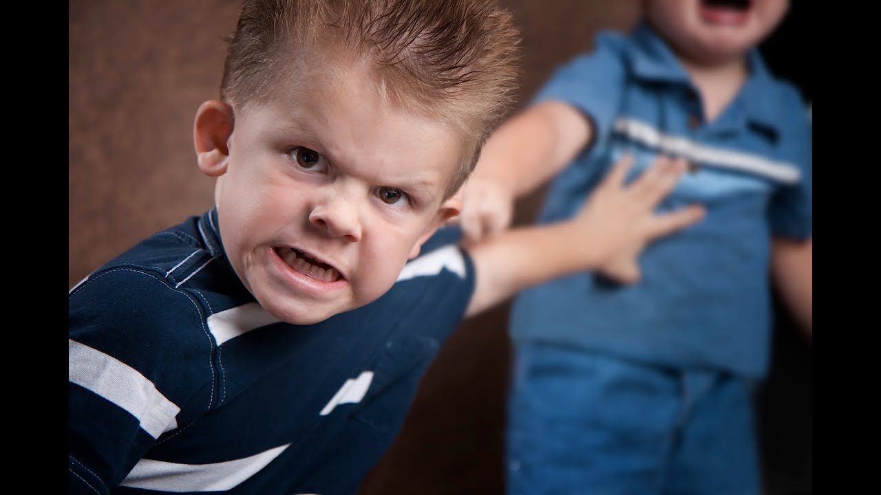 What Is Aggressive Behaviour In Child?