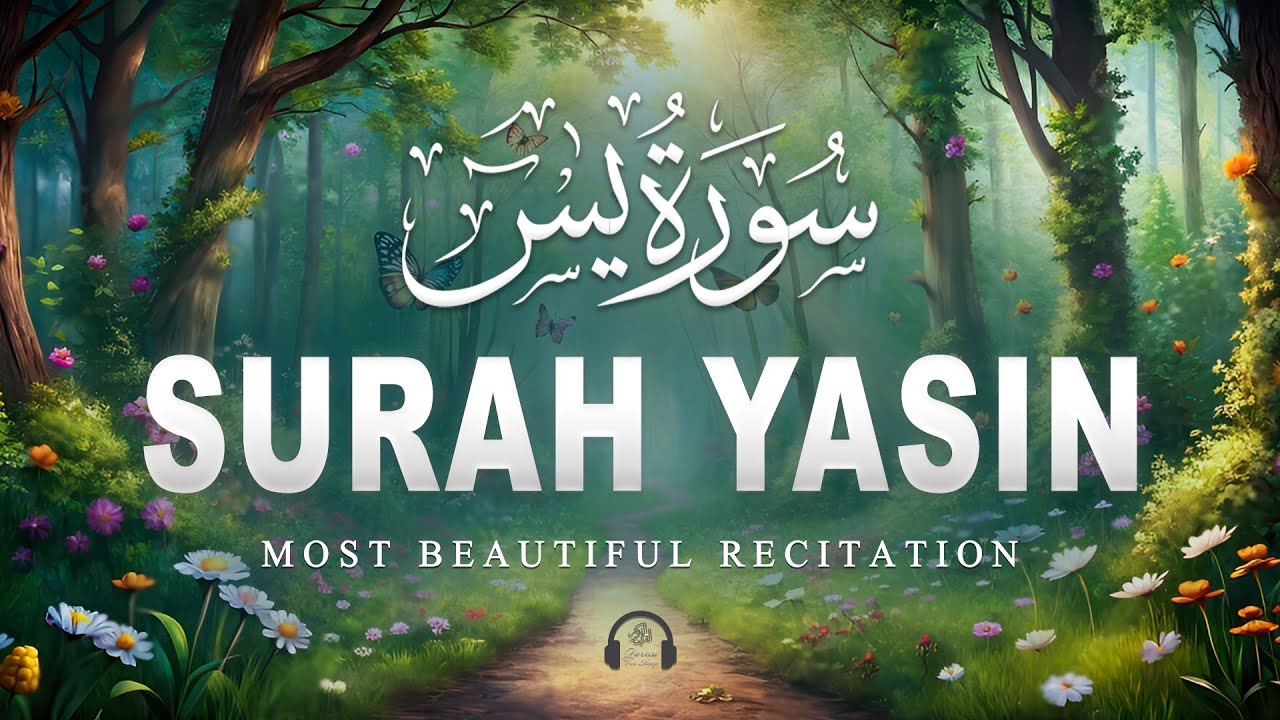 Surah Yaseen سورة يس | Soothing & Beautiful Recitation for Inner Peace by Alaa Aqel Quran for Sleep