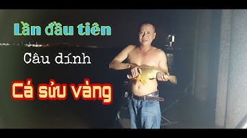 Câu Cá Sông Nhà Bè | câu cá sửu vàng bằng mồi bá đạo//dân dã miền quê official
