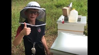Jayden's Bees   3rd Hive Inspection Day 16 after installing package bees  Baby's are coming!