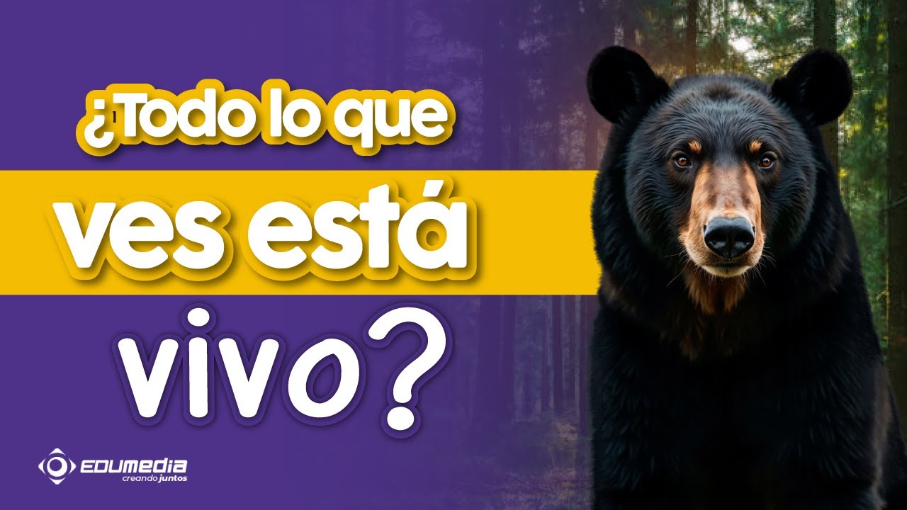 ¿Todo lo que ves está vivo?  🌱💧l Ciencias l Edumedia