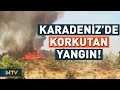 Orman Yangını Karadeniz'e Sıçradı! 10 Köy Boşaltıldı | NTV