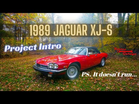 Let's buy an already broken unreliable V12!  1989 Jaguar XJS – Project Intro