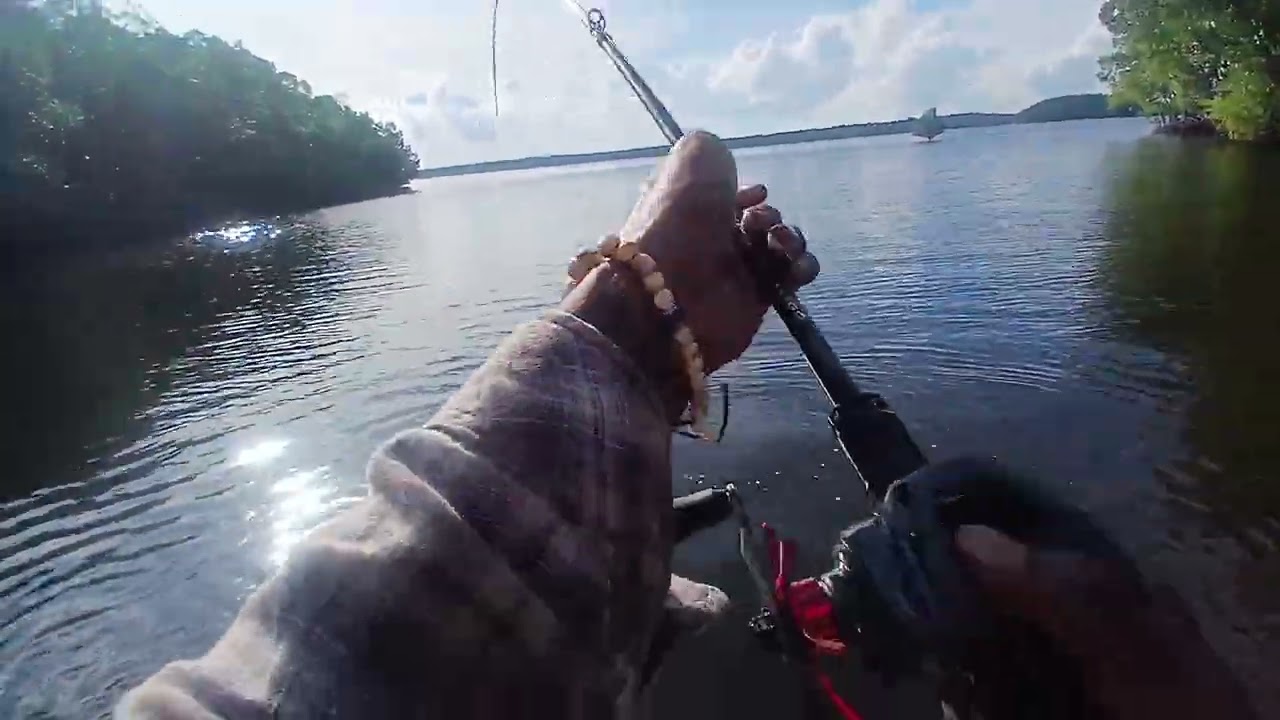 Nyiksa joran daido Carnivore... #baitcasting #fishing #castinger #daidocarnivore #mancingmania  