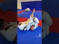 Brown Belt Female Spars Blue Belt Male